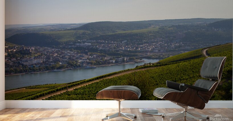 Niederwald 3 Wall Murals