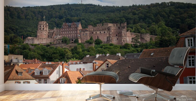 Heidelberg 2 Wall Murals