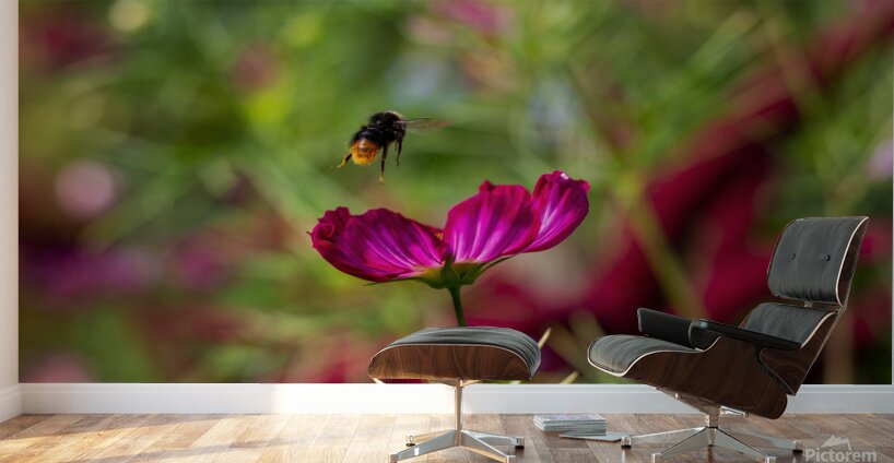 Bee & Flower 1 Wall Murals