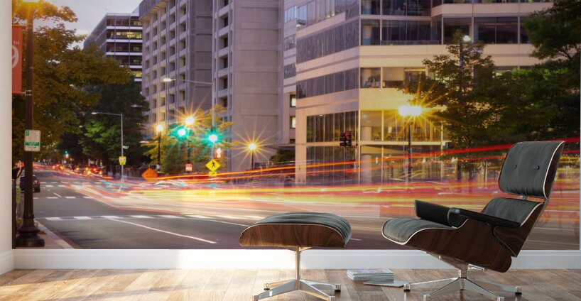 Washington DC 1 Wall Murals