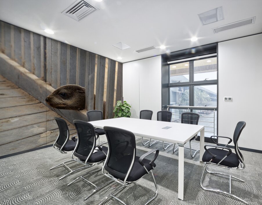 Cape Cross Seal 1 Wall Printing