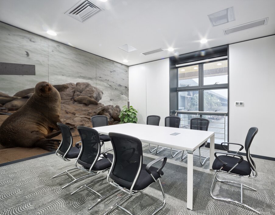 Cape Cross Seal 2 Wall Printing