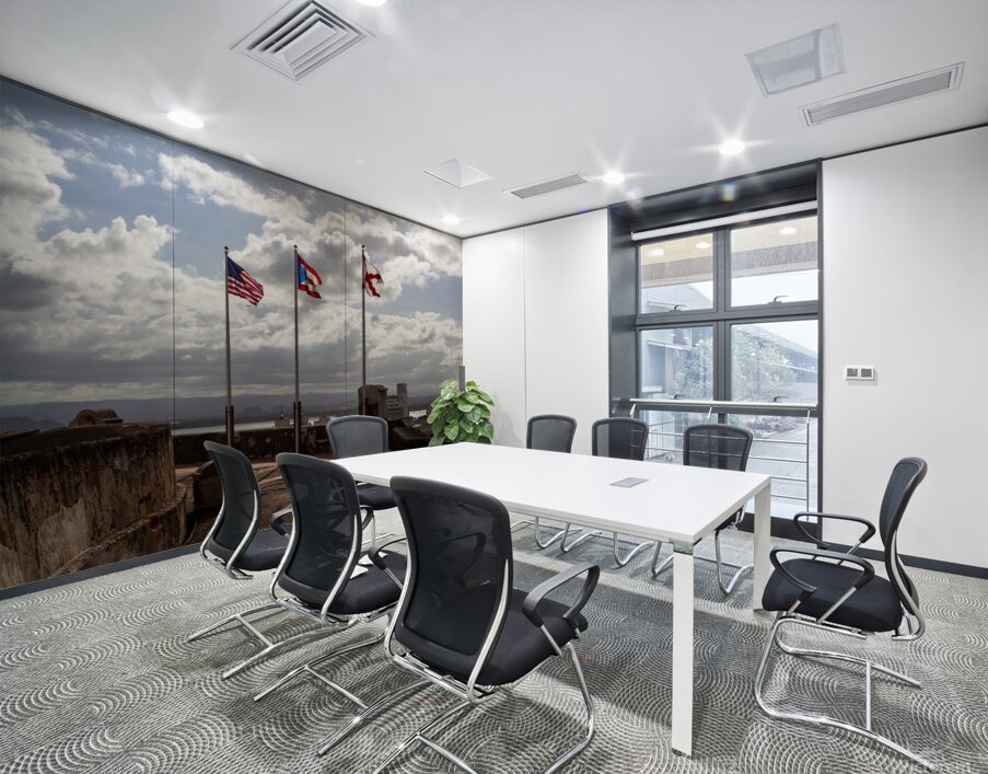 Puerto Rico 6 Wall Printing