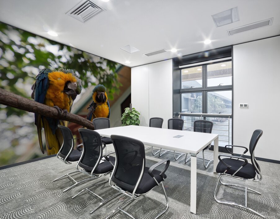 Macaws 1 Wall Printing