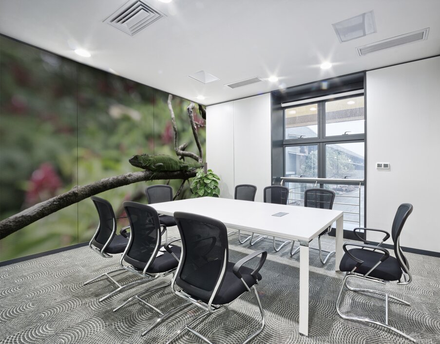 Green Iguana 1 Wall Printing