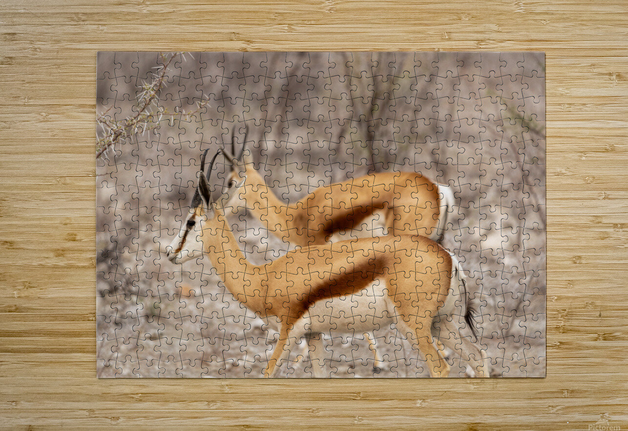 Springbok 2 Nick McRae Puzzle printing