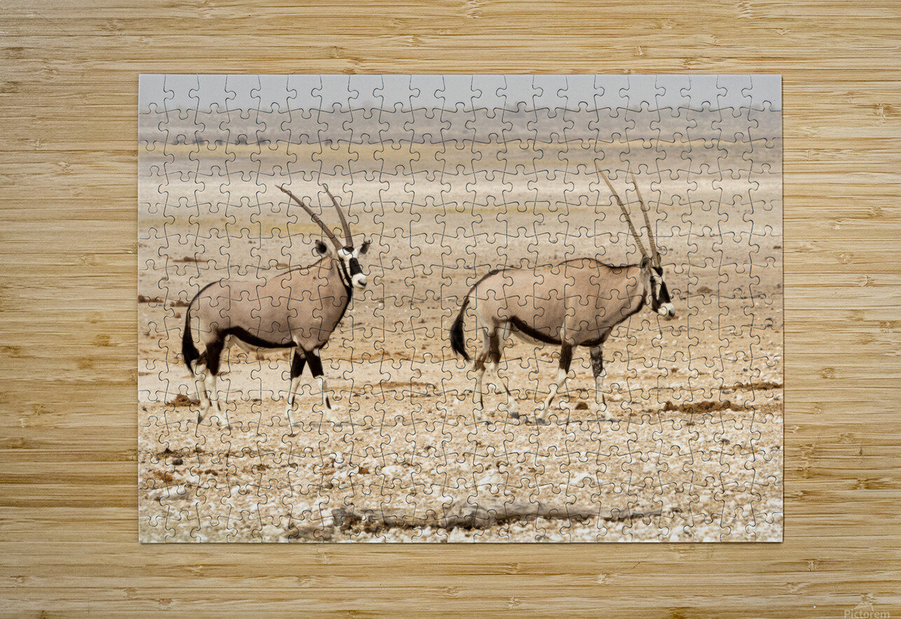 Oryx 3 Nick McRae Puzzle printing