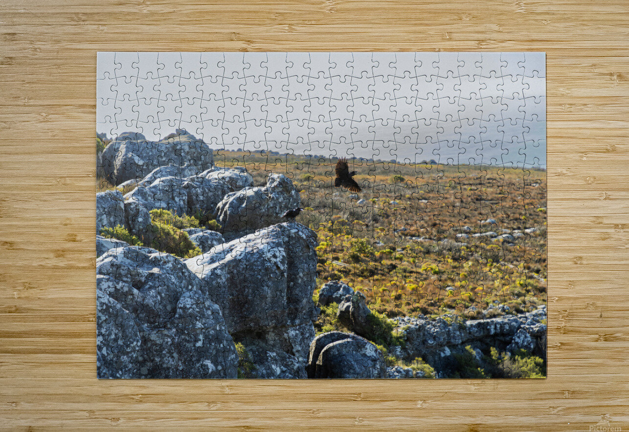 Table Mountain 1 Nick McRae Puzzle printing