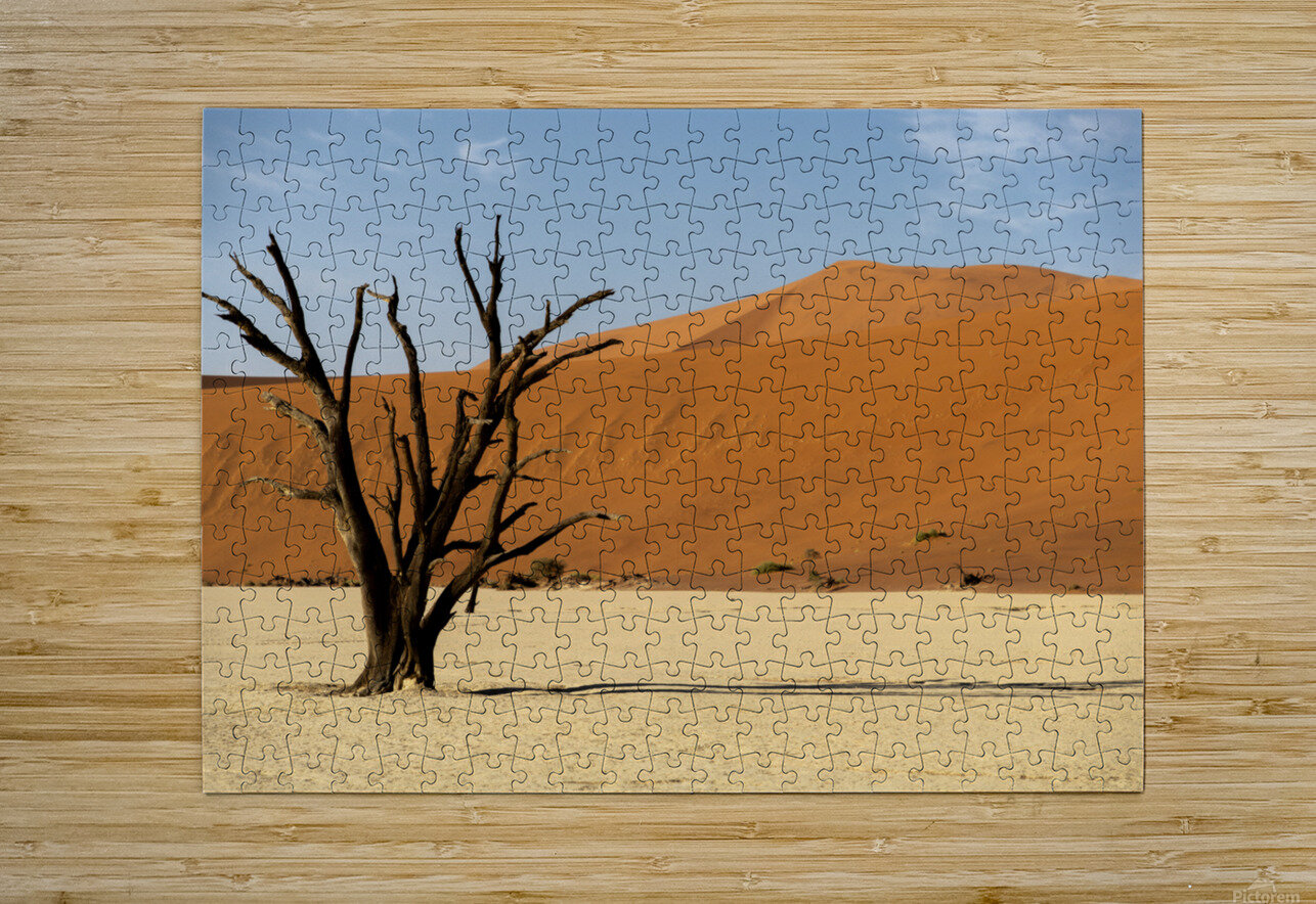 Deadvlei 1 Nick McRae Puzzle printing