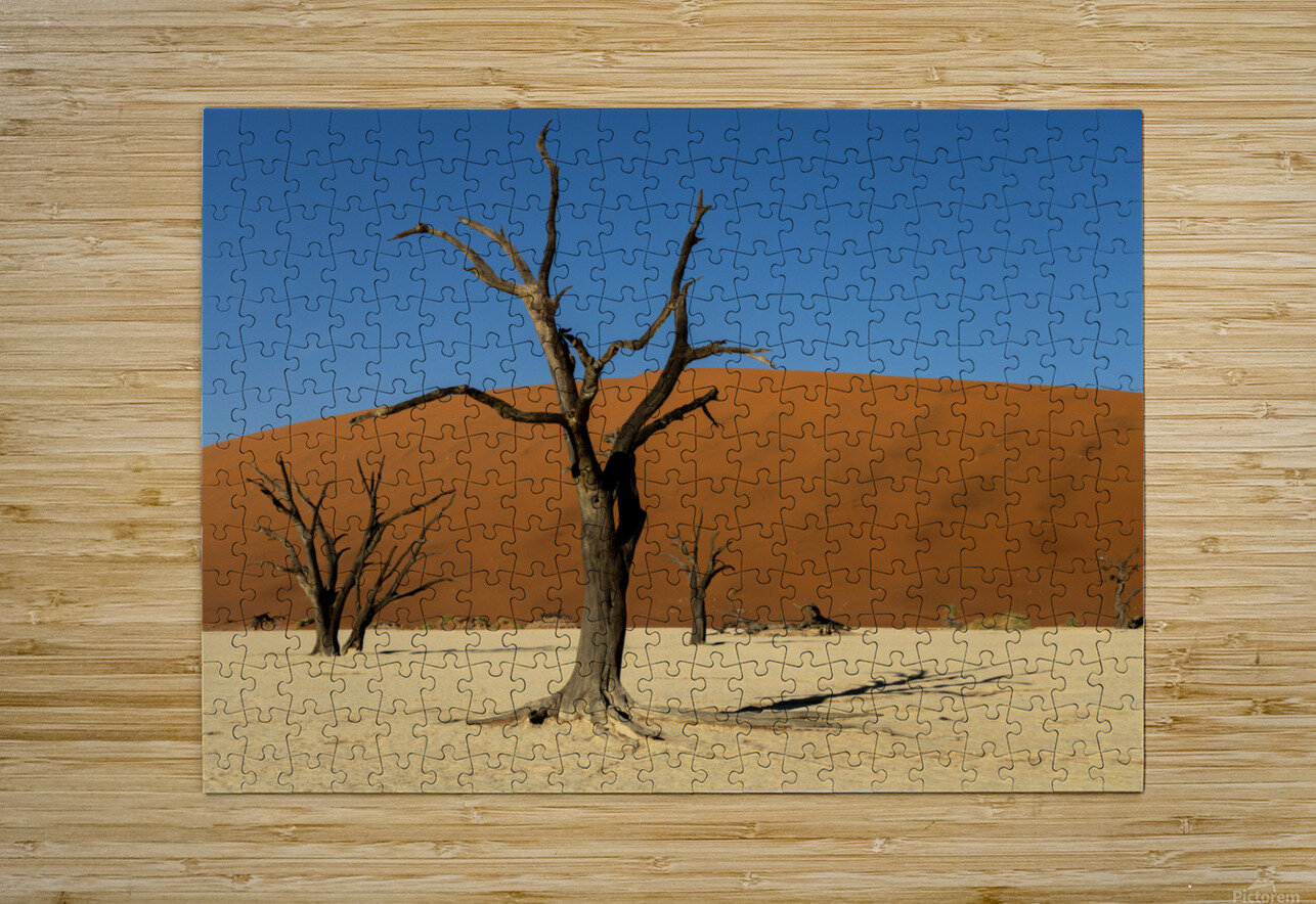 Deadvlei 2 Nick McRae Puzzle printing