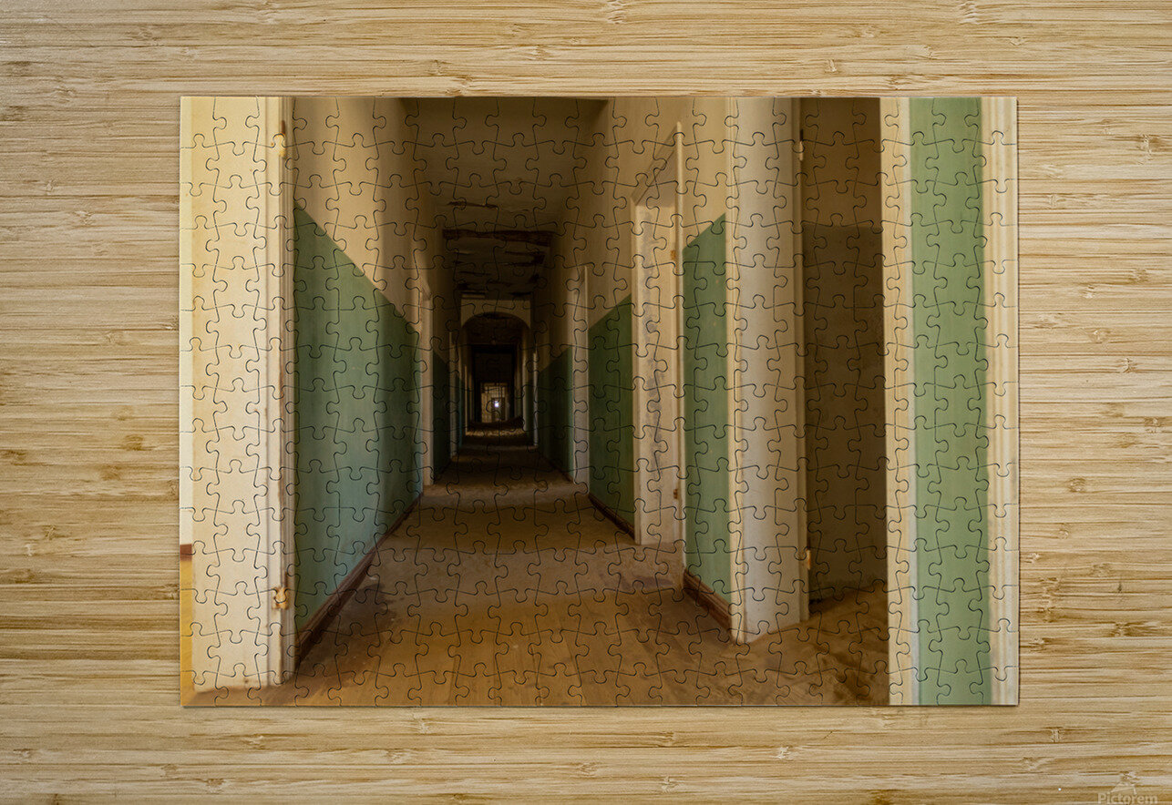 Kolmanskop 1 Nick McRae Puzzle printing