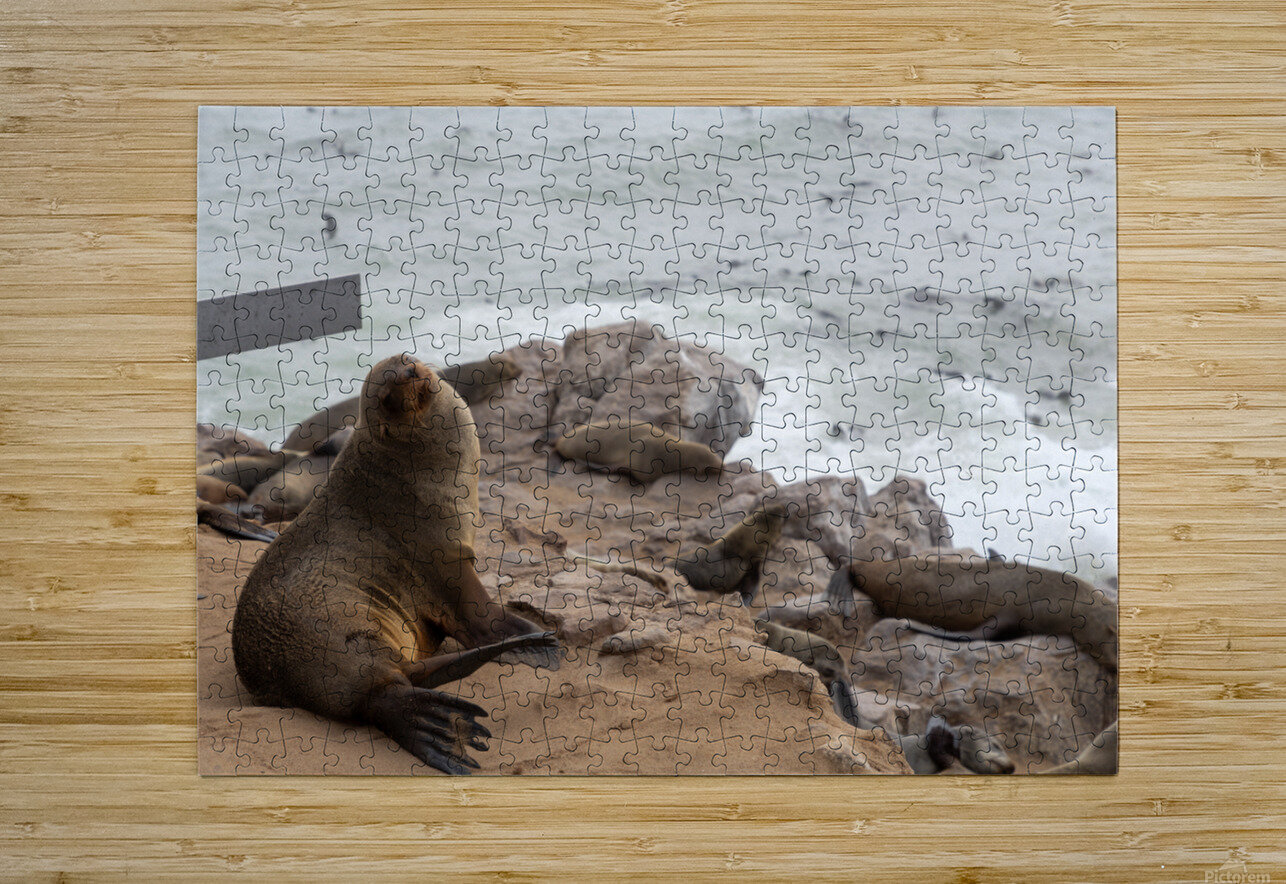 Cape Cross Seal 2 Nick McRae Puzzle printing