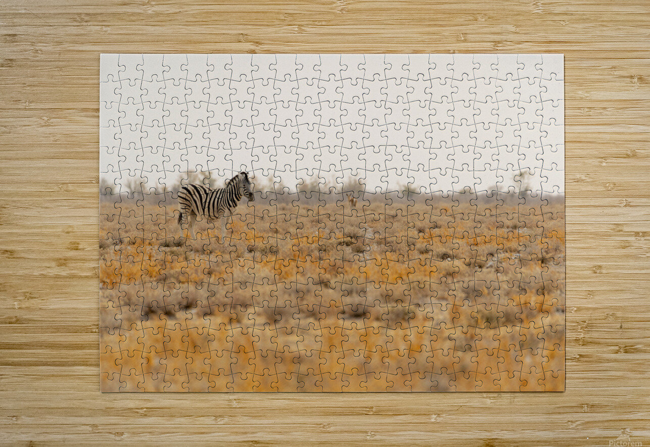 Zebra 1 Nick McRae Puzzle printing