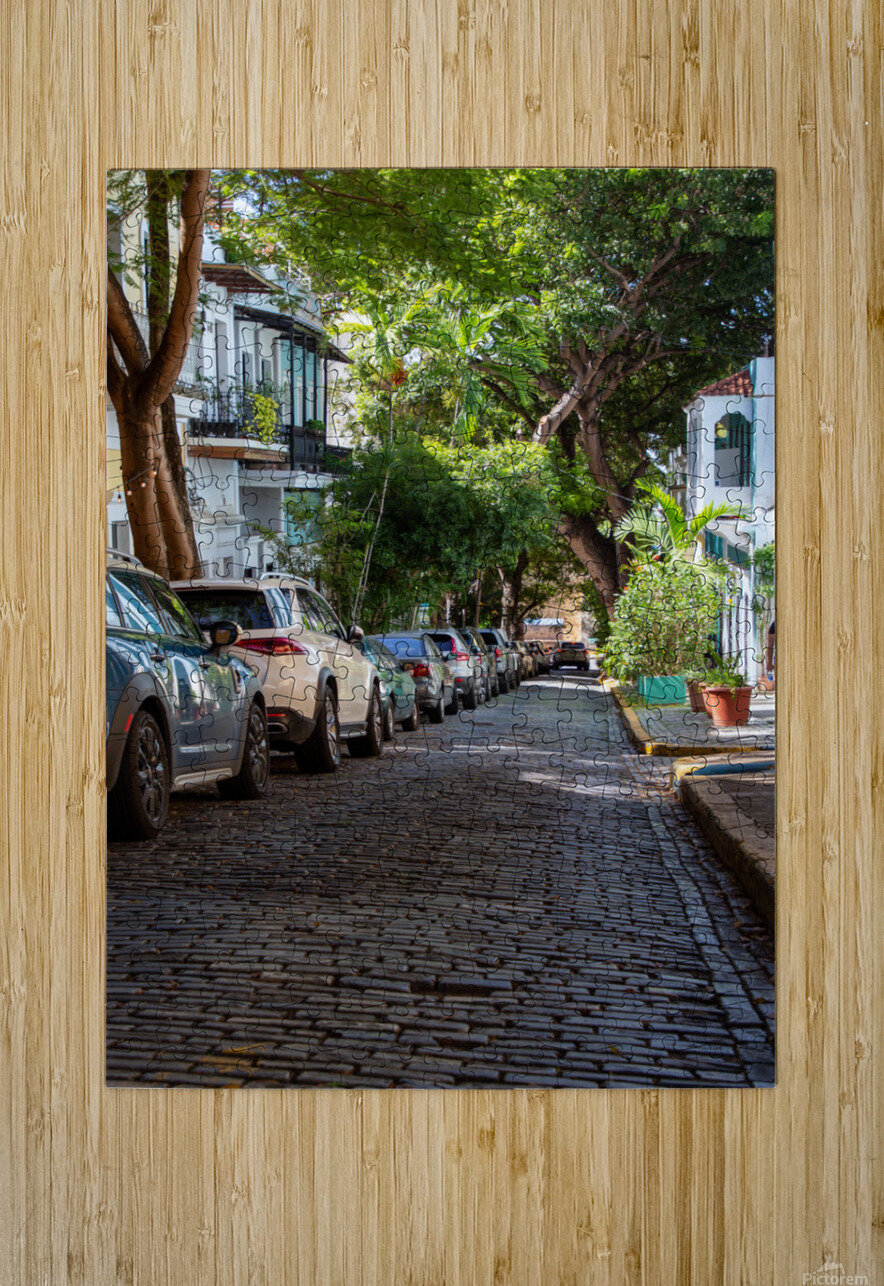 Puerto Rico 5 Nick McRae Puzzle printing