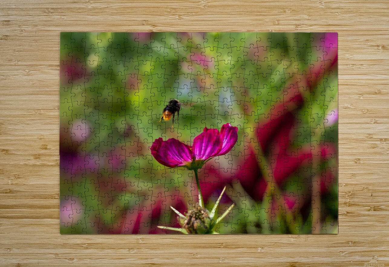 Bee & Flower 1 Nick McRae Puzzle printing