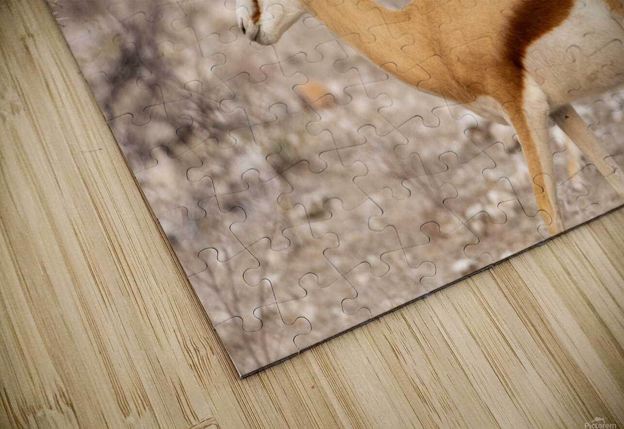 Springbok 2 Nick McRae Puzzle