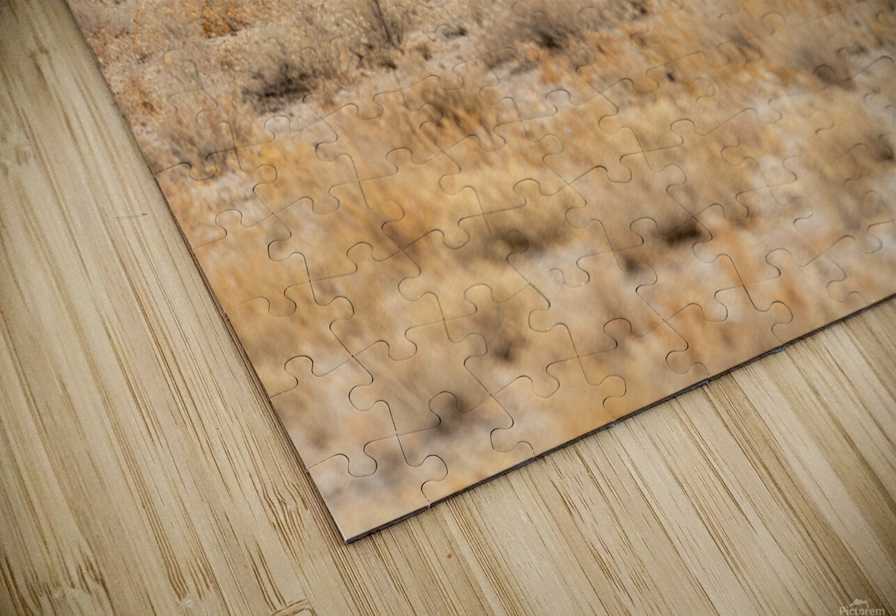 Oryx 1 Nick McRae Puzzle