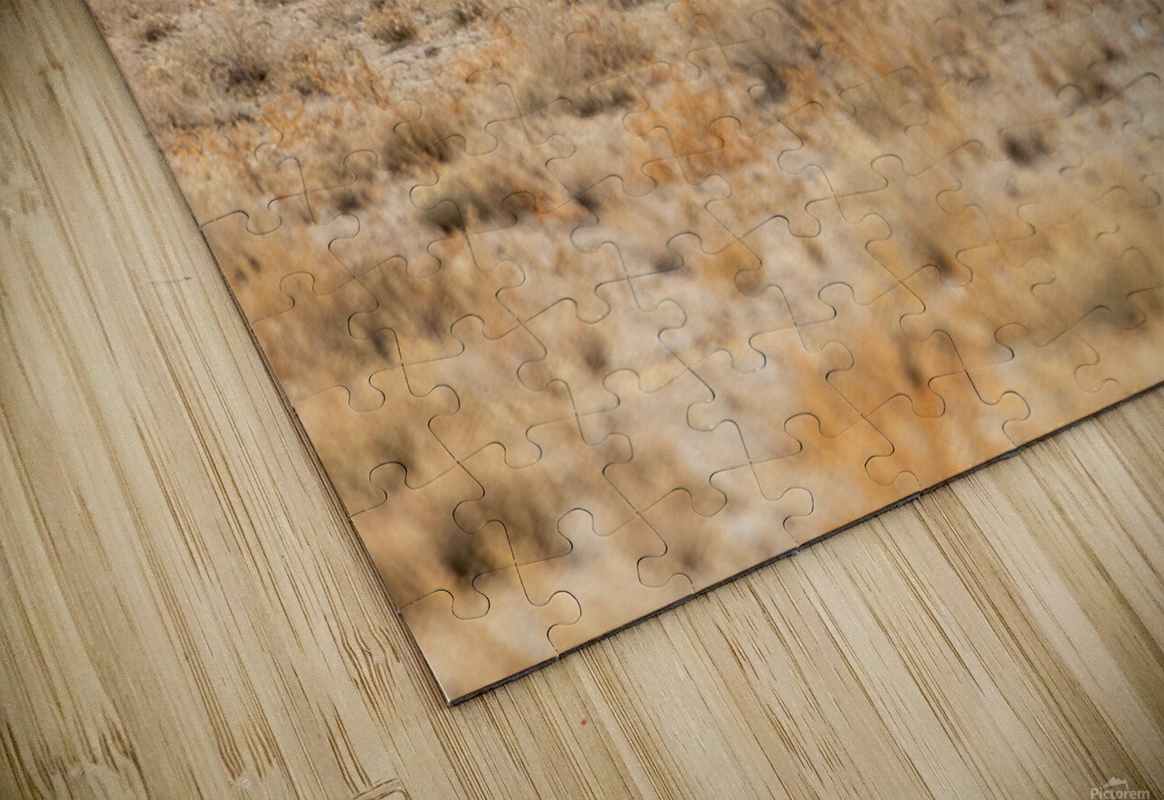 Oryx 2 Nick McRae Puzzle