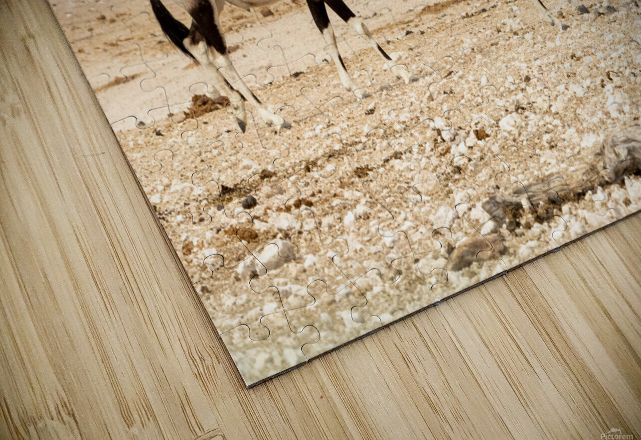 Oryx 3 Nick McRae Puzzle