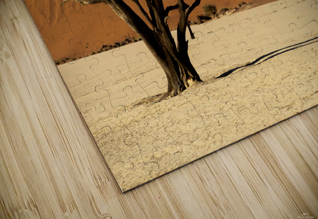 Deadvlei 1 Nick McRae Puzzle
