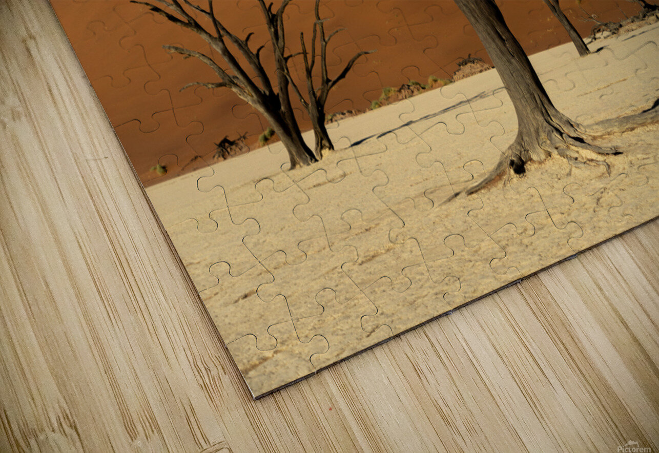 Deadvlei 2 Nick McRae Puzzle