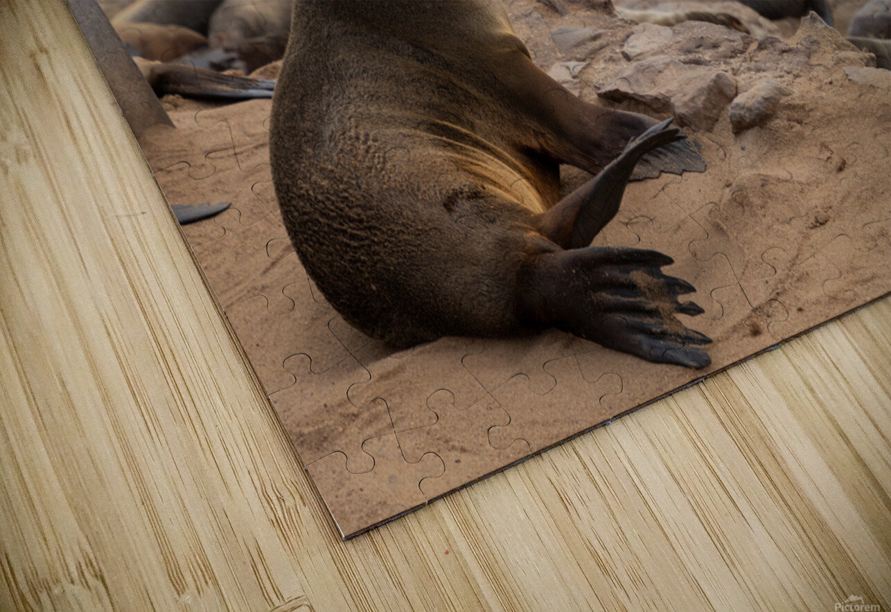 Cape Cross Seal 2 Nick McRae Puzzle
