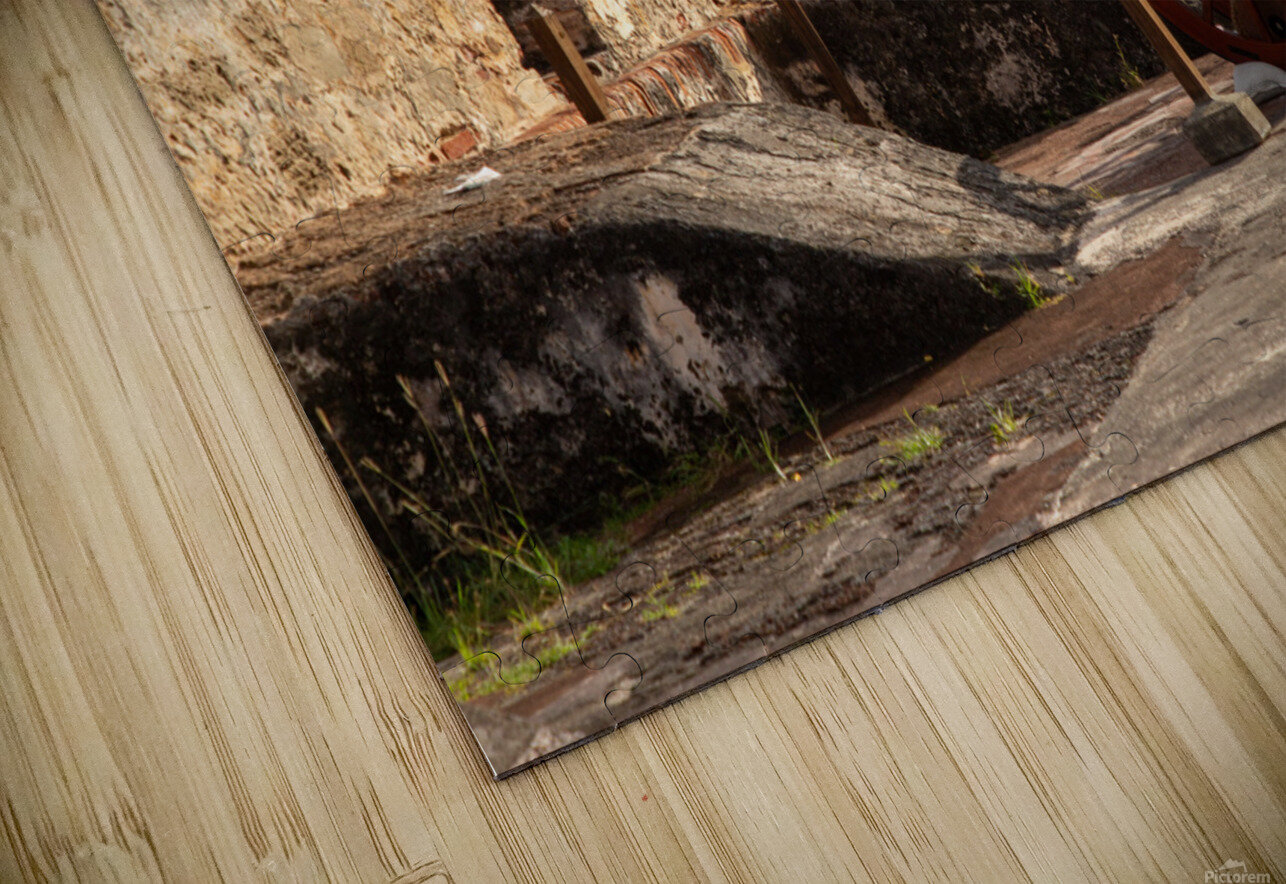 Puerto Rico 2 Nick McRae Puzzle