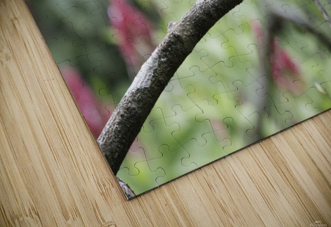 Green Iguana 1 Nick McRae Puzzle