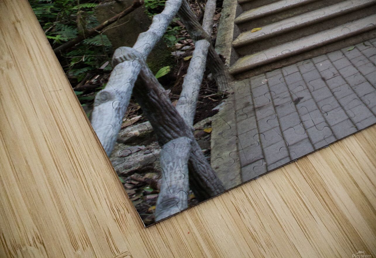 La Fortuna 1 Nick McRae Puzzle