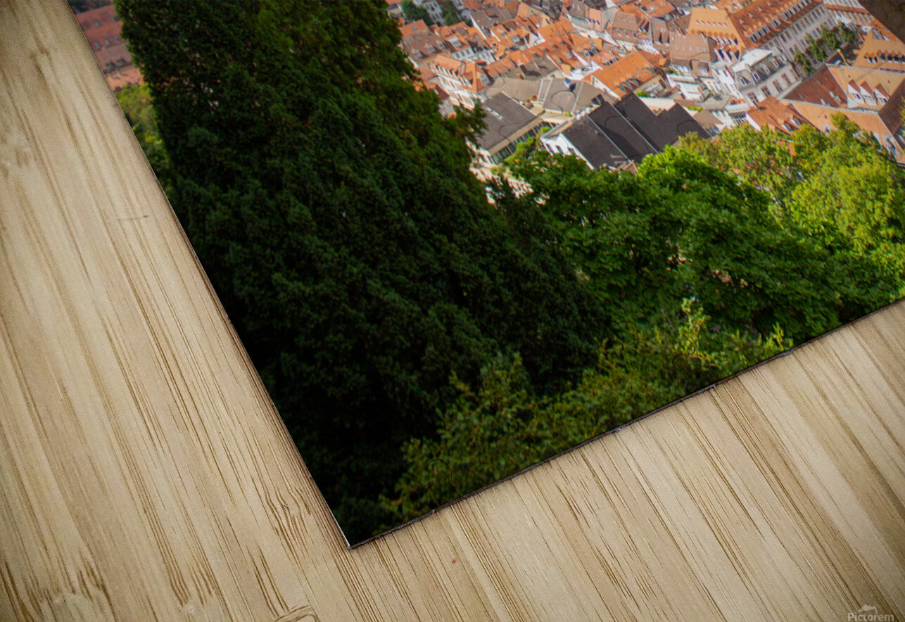 Heidelberg 1 Nick McRae Puzzle