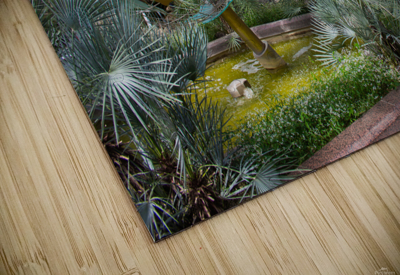 Frankfurt 1 Nick McRae Puzzle