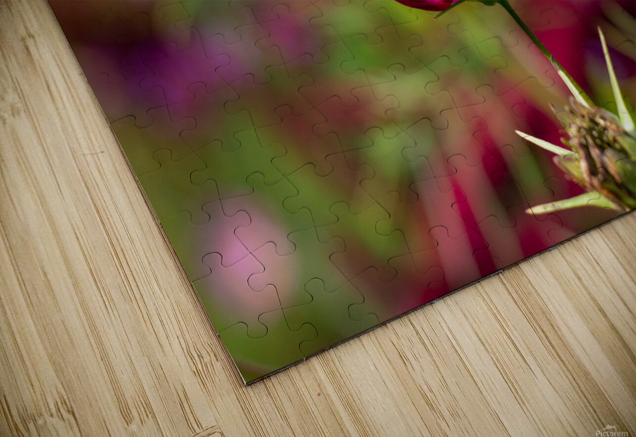 Bee & Flower 1 Nick McRae Puzzle